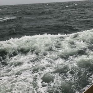 Meet your Posher, Crysta